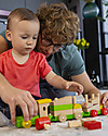 EverEarth Sorting Train Blocks - Motor Skills - High Quality FSC Wood! Wooden Toy Cars, Trains & Trucks