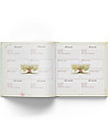 Familium Our Family Tree (in Italian only) Books