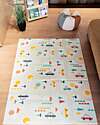 Family Nation 2-in-1 Foldable Montessori Play Mat – Reversible and Soft – Dino Friends – 180x150 cm – From Birth Playmats