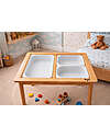 Family Nation Magnetic Montessori Sensory Table with 3 Containers - 73x53x50 cm - Educational Toy for Children 3+ years Sensory Games_