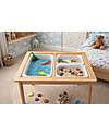 Family Nation Magnetic Montessori Sensory Table with 3 Containers - 73x53x50 cm - Educational Toy for Children 3+ years Sensory Games_