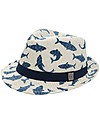 FlapJackKids Fedora Hat - Shark - New Design Sunhats