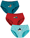 Frugi Barney Brief 3 pack - Tractor - Organic Cotton Briefs