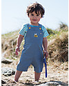 Frugi Durgan Dungaree, Chambray/Bee - 100% organic cotton Dungarees