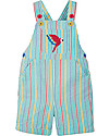 Frugi Godrevy Dungaree - Multistripe/Parakeet - 100% Organic cotton Dungarees
