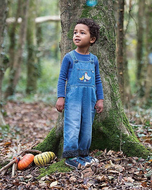 Frugi Hopscotch Dungaree, Chambray/Chickens - Organic Cotton Dungarees