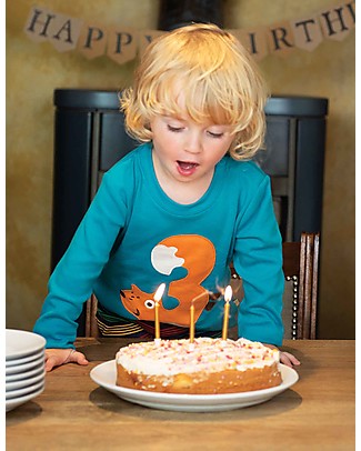 Frugi Magic Number Light Blue T-Shirt - Tomermory Teal/Fox - 100% Organic Cotton T-shirts