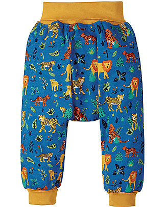 Frugi Parsnip Pants - Cobalt big catss - Organic Cotton Trousers
