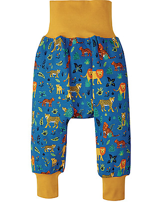 Frugi Parsnip Pants - Cobalt big catss - Organic Cotton Trousers