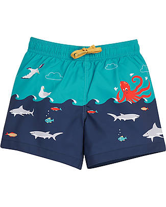 Frugi Polkerris Board Shorts - Lies Below Scene - Blue and Light Blue/Fishes - 100% Recycled fabric Swimming Trunks