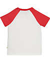 Frugi Raine Raglan Applique T-shirt - ed/Campervan - with Elastic Collar - Organic Cotton T-shirts