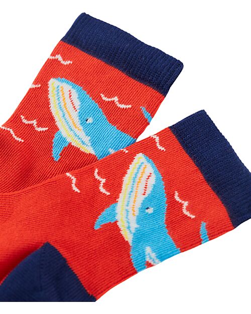 Frugi Socks Pack of 3 Little Socks - Rainbow Sea - Organic Cotton Socks