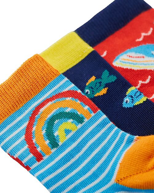 Frugi Socks Pack of 3 Little Socks - Rainbow Sea - Organic Cotton Socks