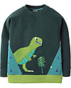 Frugi Summit Sweatshirt, Fir Tree/Dino - 100% organic cotton Jumpers
