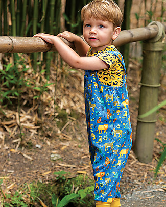 Frugi Super Special 3-Pack Short Sleeved Bodysuits - Big Cats - 100% Organic Cotton Short Sleeves Bodies