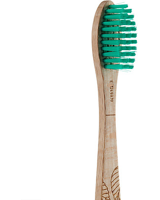 Georganics Beechwood Toothbrush - Medium Bristles Toothpaste and Toothbrush