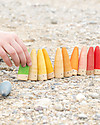 Grapat Sticks - Six Colours - Sustainable Wood Montessori Toys