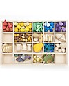 Grapat Tinker Tray - Natural and Sustainable Wood Montessori Toys