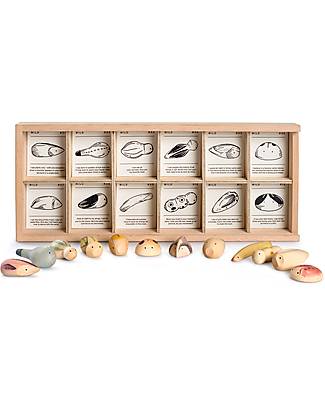Grapat Wooden Binder with Animals - Wild - 12 pieces Wooden Animals