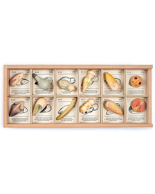 Grapat Wooden Binder with Animals - Wild - 12 pieces Wooden Animals