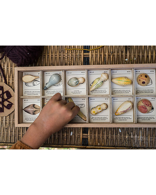 Grapat Wooden Binder with Animals - Wild - 12 pieces Wooden Animals