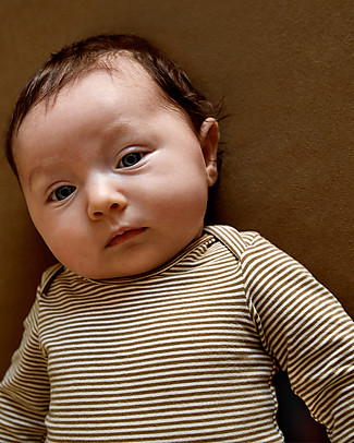 Gray Label Baby Long Sleeved Onesie - Peanut/Cream - Organic Cotton Long Sleeves Bodies