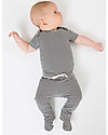 Gray Label Baby Onesie, Nearly Black/Cream Stripes - Organic Cotton Short Sleeves Bodies