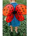 Great Pretenders Ladybug Set - Includes wings and headband Dressing Up & Role Play