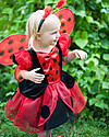 Great Pretenders Ladybug Set - Includes wings and headband Dressing Up & Role Play