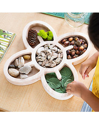 Guide Craft Loose Parts Organic Wooden Trays - Earth Tones - Classify and Sort Objects Sensory Games_