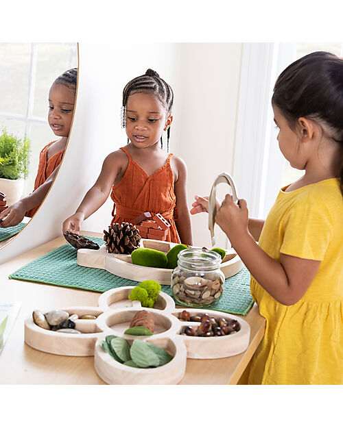 Guide Craft Loose Parts Organic Wooden Trays - Earth Tones - Classify and Sort Objects Sensory Games_