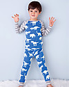 Hatley Raglan Sleeves Pajama Set, Roaming Dino - 100% organic cotton Pyjamas