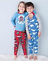 Hatley Raglan Sleeves Pajama Set, Roaming Dino - 100% organic cotton Pyjamas