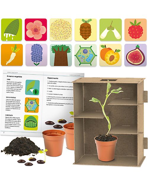 Headu Plant Maze - Naturalist Intelligence - Buildable Maze Board Games