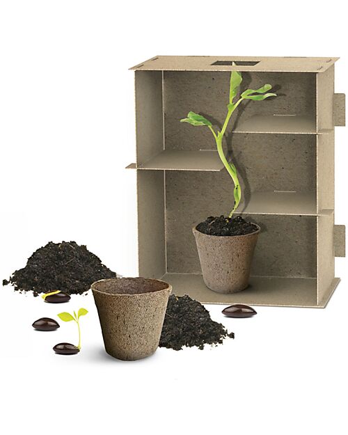 Headu Plant Maze - Naturalist Intelligence - Buildable Maze Board Games