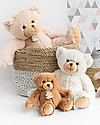 Histoire D'Ours Teddy Bear Brown Calin - 25 cm - Gift Box Included! Soft Toys