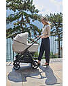 Inglesina Aptica System Quattro - Opal Ivory - Stroller + Standup Cradle + Darwin Car Seat Trio and Duo Strollers