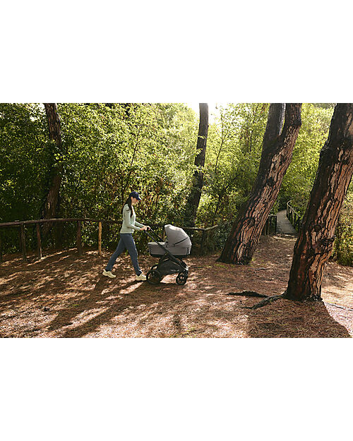 Inglesina Aptica XT System Quattro - Canyon Grey - Stroller + Standup Cradle + Darwin Recline Car Seat Trio and Duo Strollers