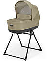 Inglesina Electa System Quattro - Dumbo Caramel - Stroller + Standup Cradle + Darwin Recline Car Seat Trio and Duo Strollers