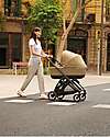 Inglesina Electa System Quattro - Dumbo Caramel - Stroller + Standup Cradle + Darwin Recline Car Seat Trio and Duo Strollers