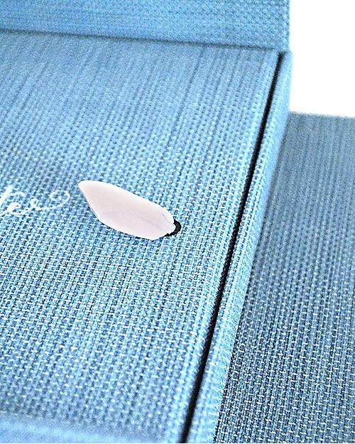 Italian Creative Book Memory Box and Photo Album, Light Blue with Bear - 19x19 cm Baby's First Albums