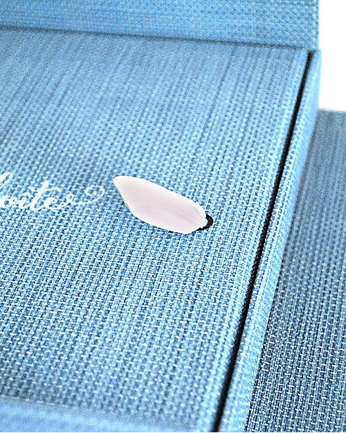 Italian Creative Book Memory Box and Photo Album, Light Blue with Horse - 19x19 cm Baby's First Albums