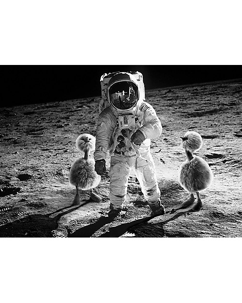 JellyCat Pompom Soft Toy, Rainbow - 33 cm - Cute and funny Soft Toys