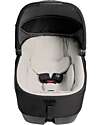 Joie Calmi R129 Carrycot - Eclipse - Car and Stroller - Without Base Pram Systems