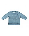 Jollein Little Lion Sweater Velour, Teal - Organic Cotton Sweatshirts