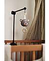 Jollein Musical Hanger Bear - Soothing Melody for Babies Rattles