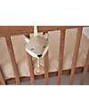 Jollein Musical Hanger Fox - Soothing Melody for Newborns Rattles