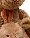 Jollein Plush Toy with Removable Baby - Kangaroots - Soft and Safe Soft Toys