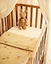 Jollein Plush Toy with Removable Baby - Kangaroots - Soft and Safe Soft Toys