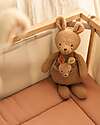 Jollein Plush Toy with Removable Baby - Kangaroots - Soft and Safe Soft Toys